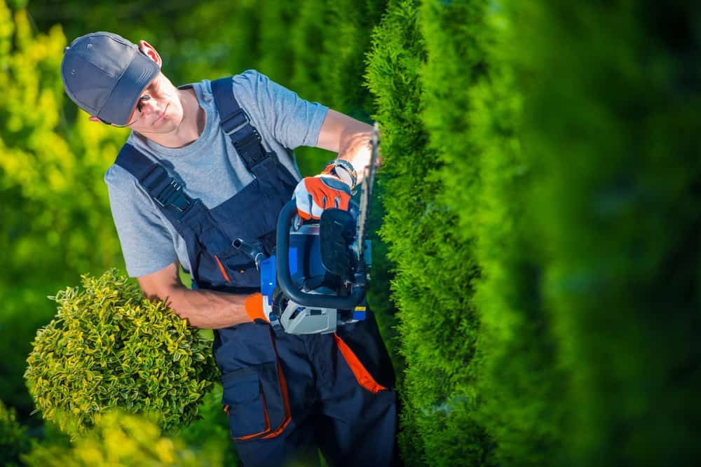 landscape service provider