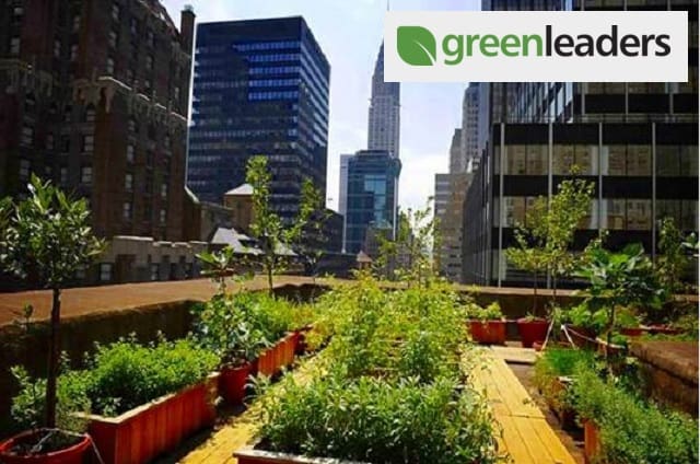 tripadvisor greenleaders
