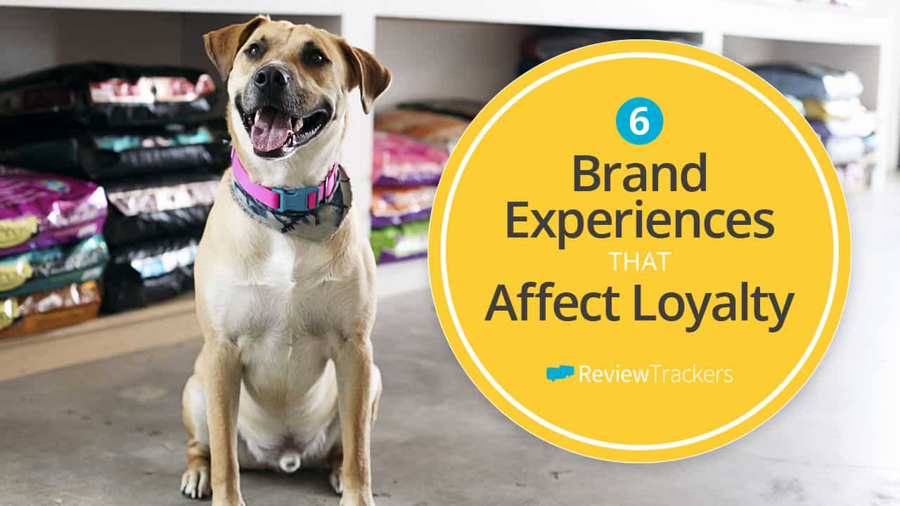 Brand Experiences that Affect Customer Loyalty