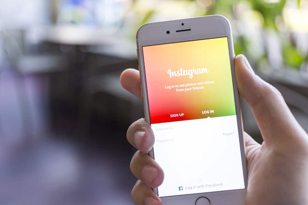 Instagram_accounts_to_follow
