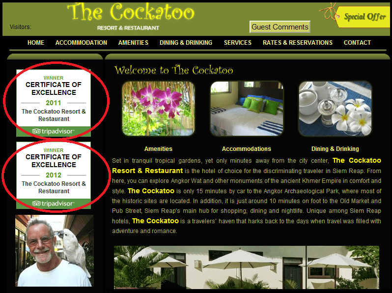 widget tripadvisor tips business review monitoring